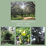 visite de jardin: jardin botanique des milelli